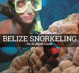 Belize Resorts belize snorkeling in depth guide